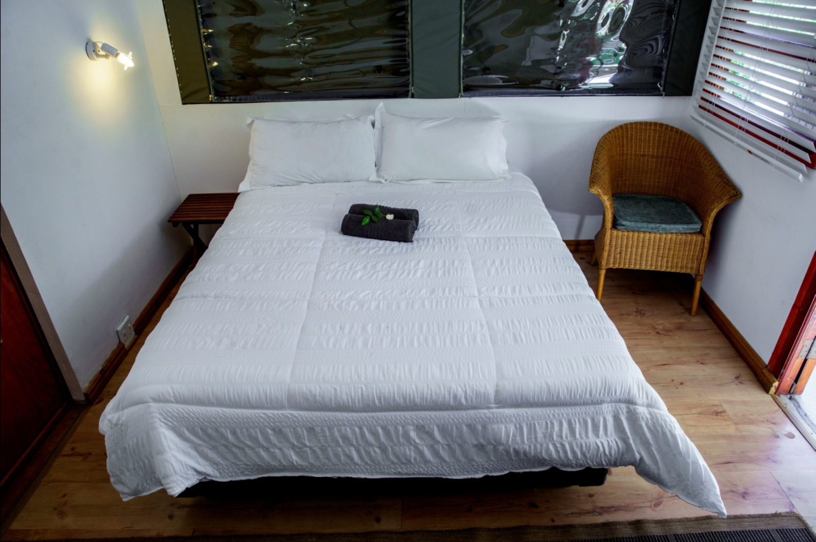 Untitled design (88)