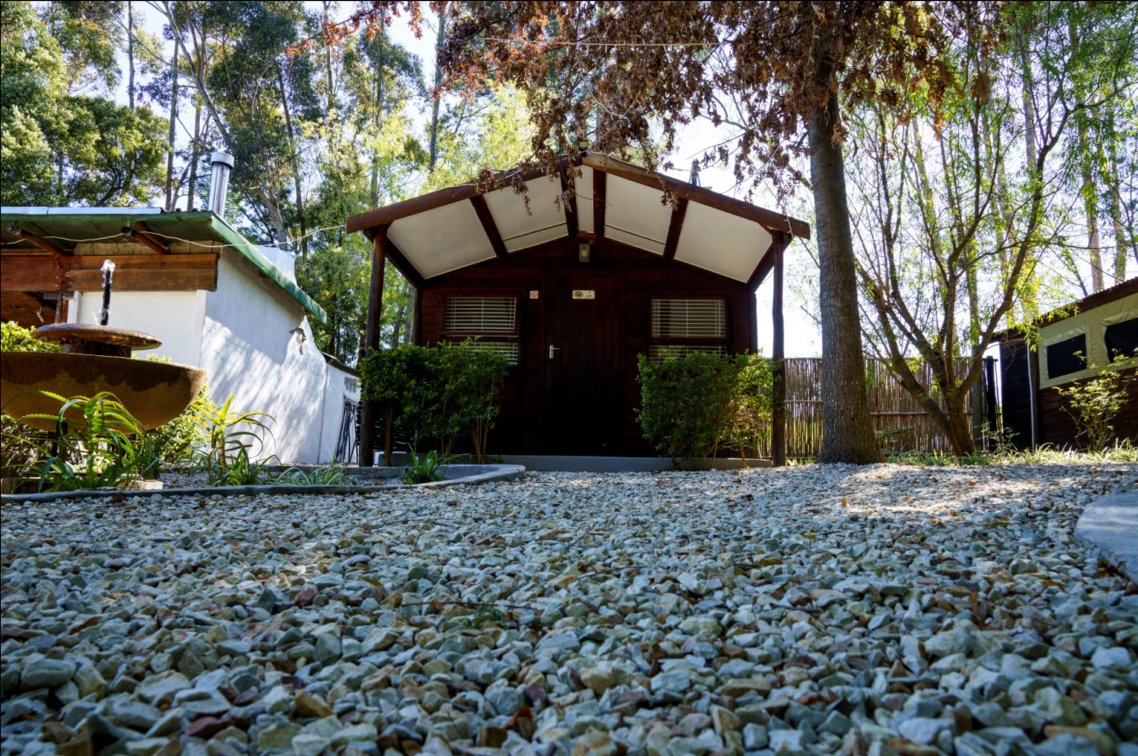 Untitled design (91)